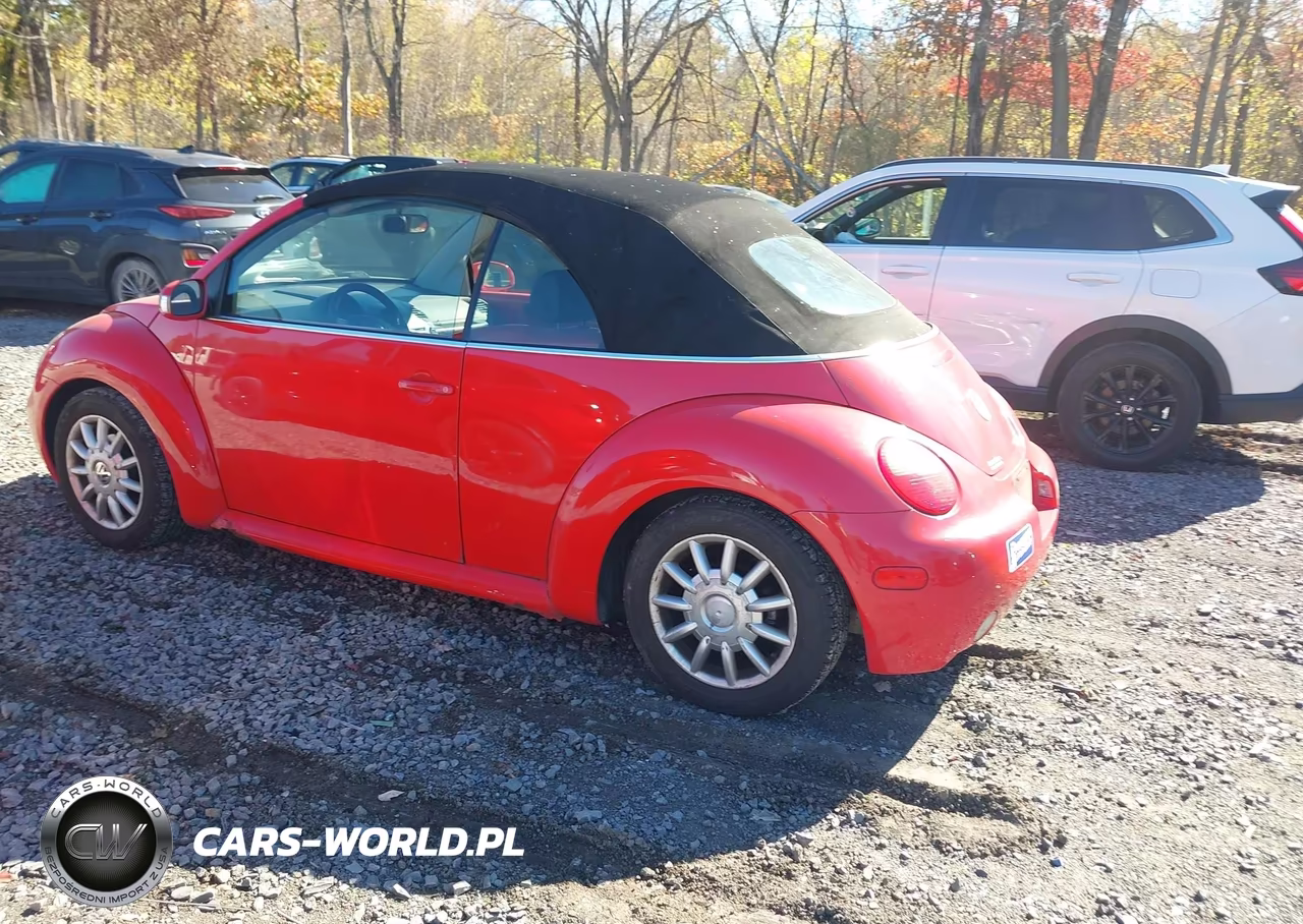 2004 Volkswagen New Beetle Gls VIN:3VWCM21Y54M309822 - 3