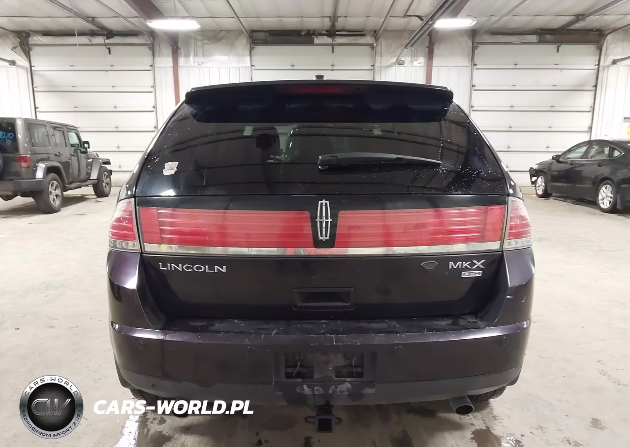 2007 Lincoln Mkx VIN:2LMDU88CX7BJ30539 - 17