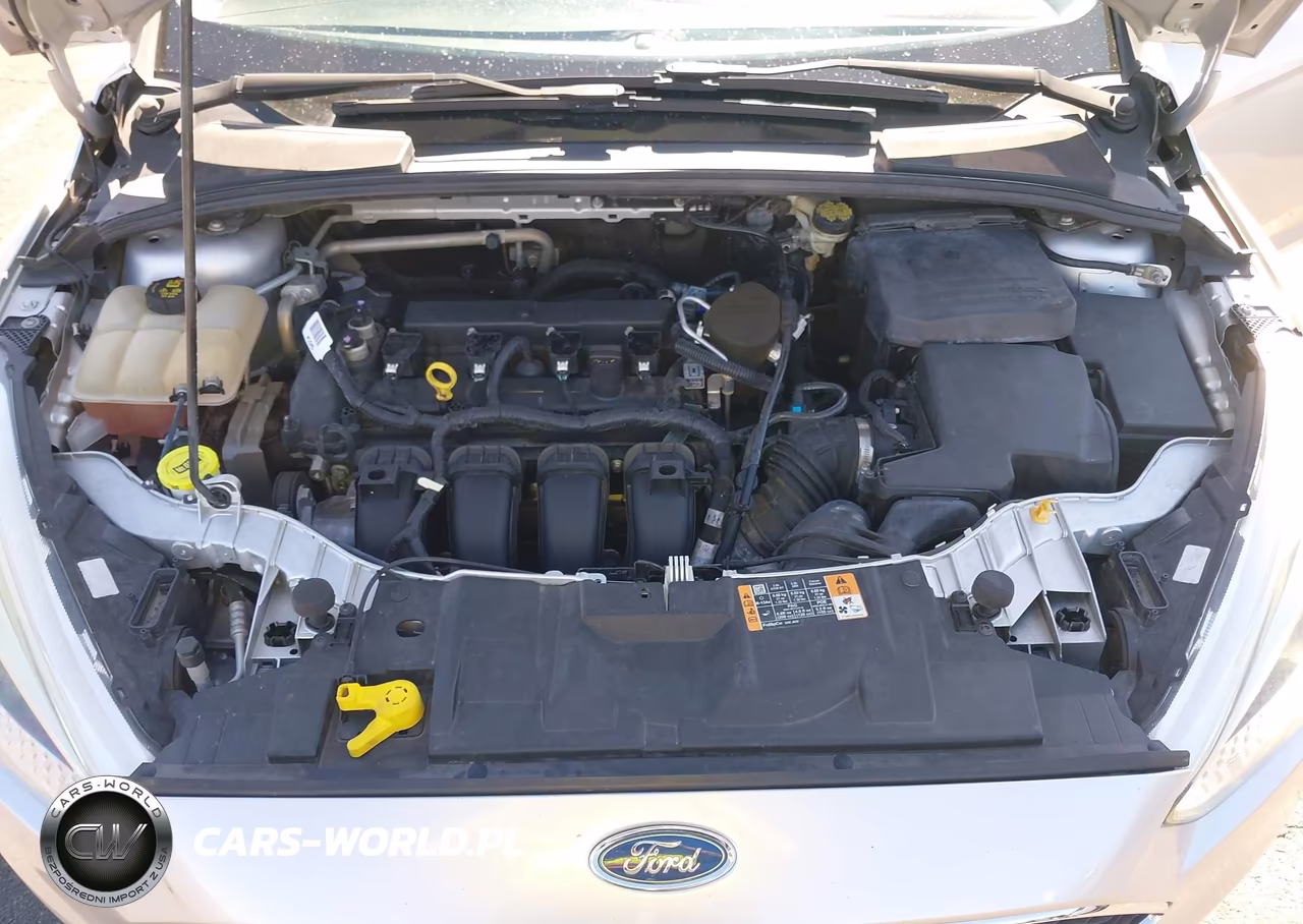 2016 Ford Focus Se VIN:1FADP3F25GL241994 - 10