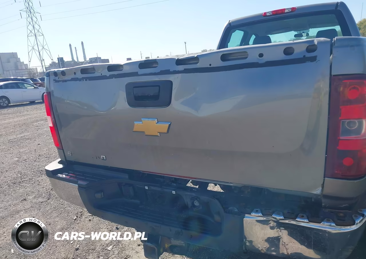2013 Chevrolet Silverado 3500Hd Work Truck VIN:1GC4KZCG9DF126773 - 13