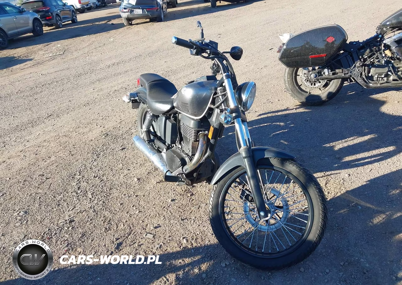 2019 Suzuki Ls650 – zdjęcie 1 z 12