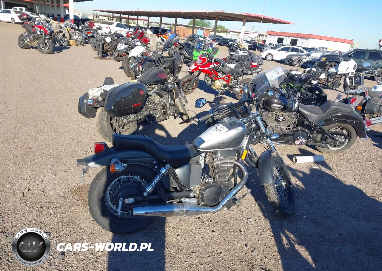 2019 Suzuki Ls650 VIN:JS1NP41D6K7100327 - 11