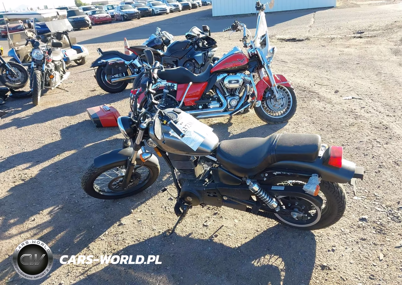 2019 Suzuki Ls650 VIN:JS1NP41D6K7100327 - 12