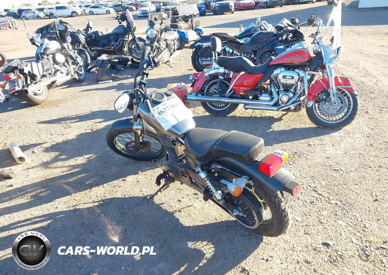 2019 Suzuki Ls650 VIN:JS1NP41D6K7100327 - 3