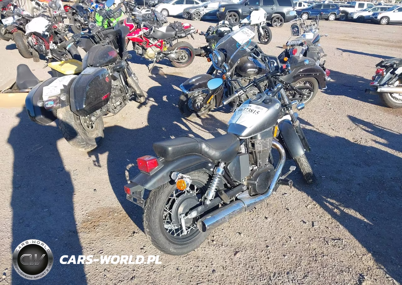 2019 Suzuki Ls650 VIN:JS1NP41D6K7100327 - 4