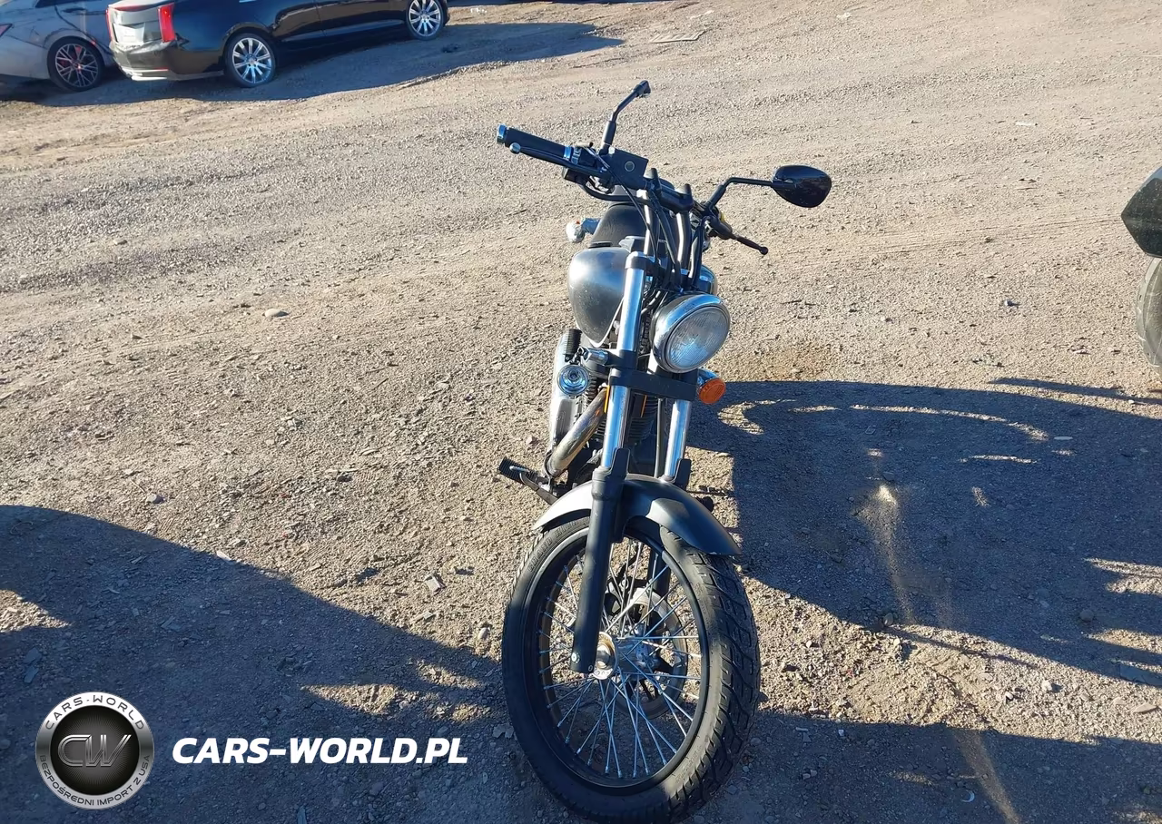 2019 Suzuki Ls650 VIN:JS1NP41D6K7100327 - 5