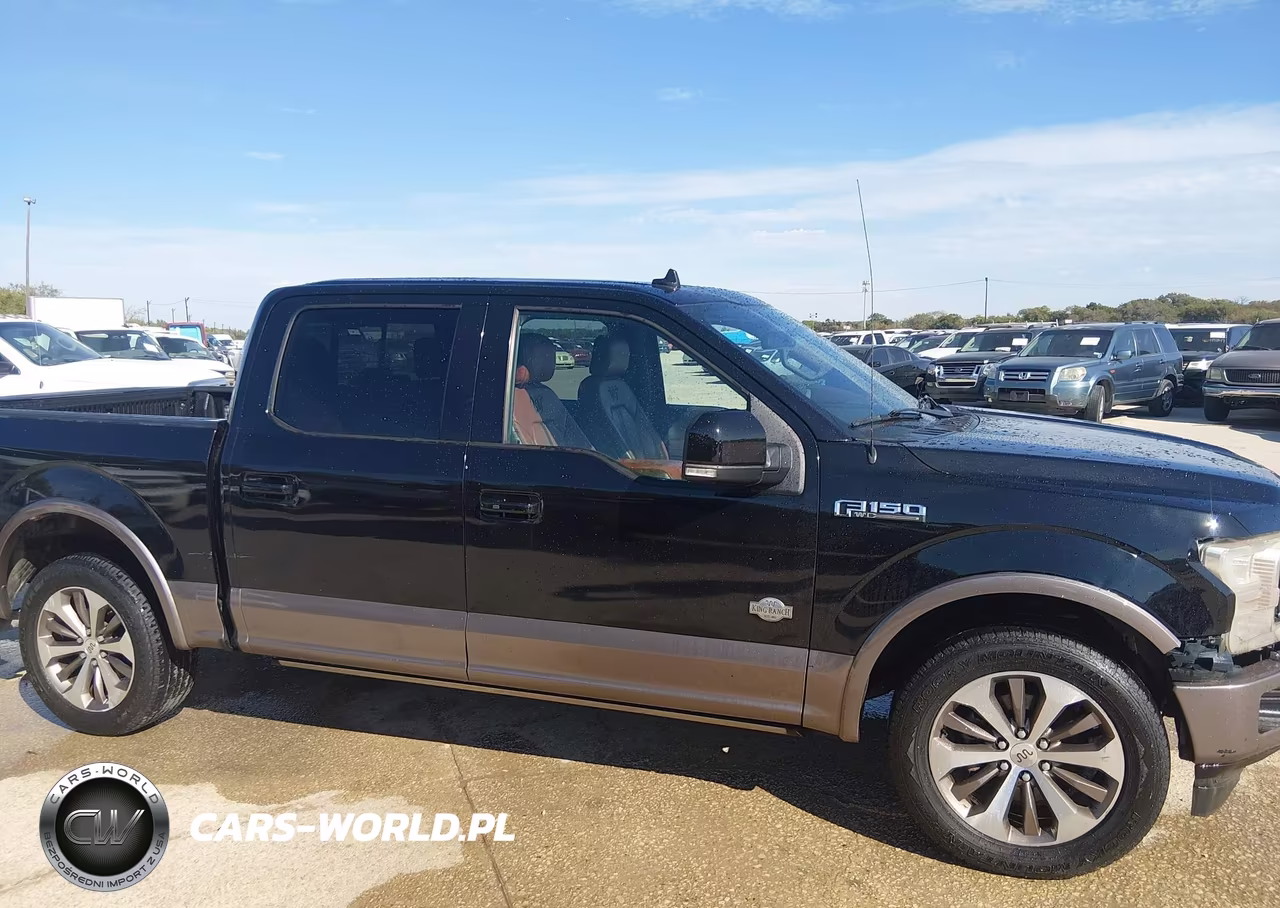 2020 Ford F-150 King Ranch VIN:1FTEW1C47LFA22412 - 13