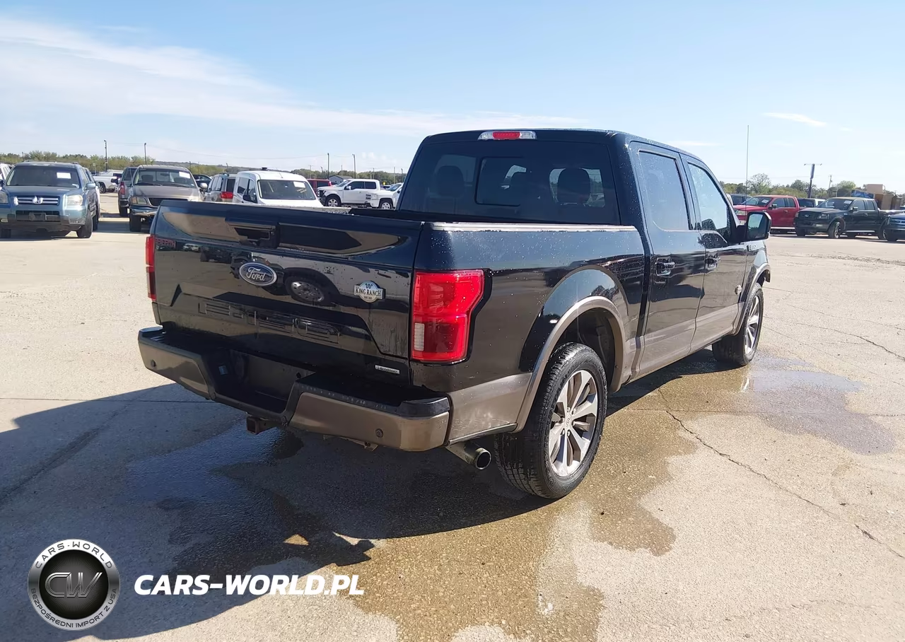 2020 Ford F-150 King Ranch VIN:1FTEW1C47LFA22412 - 4