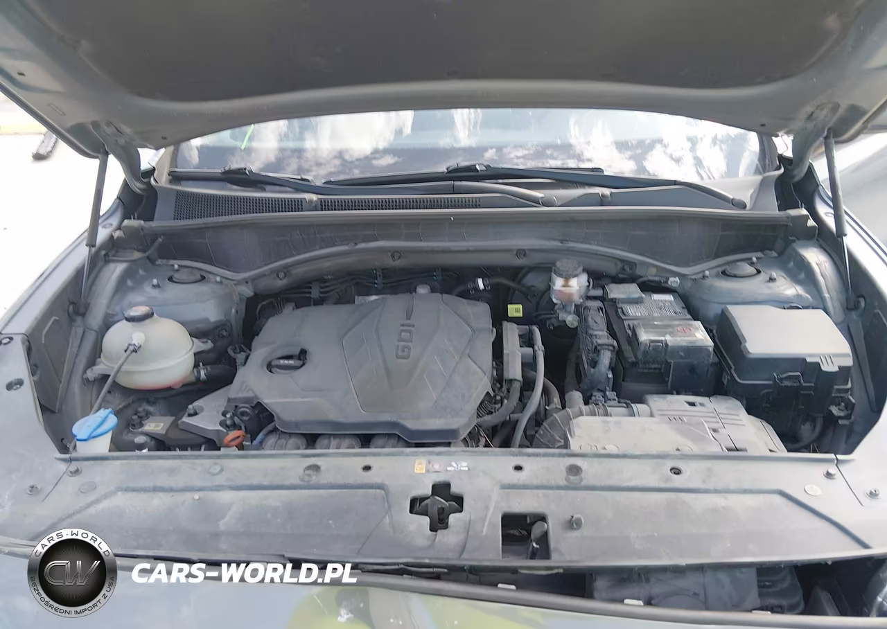 2021 Hyundai Santa Fe Sel VIN:5NMS24AJ0MH318076 - 10