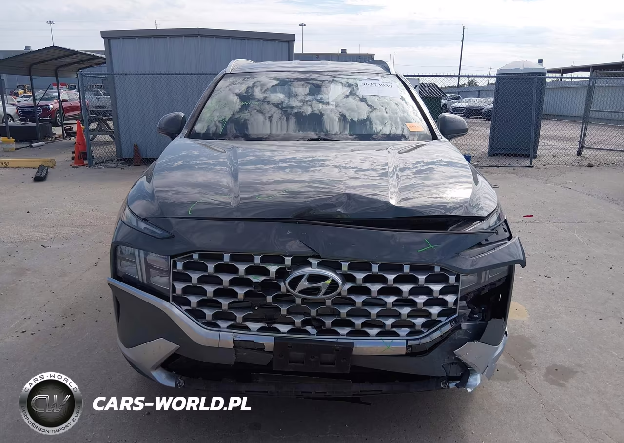 2021 Hyundai Santa Fe Sel VIN:5NMS24AJ0MH318076 - 13