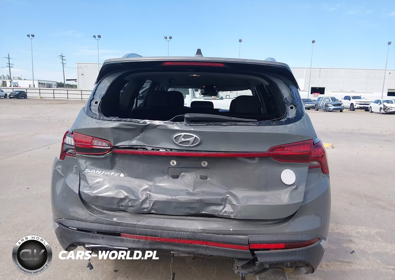 2021 Hyundai Santa Fe Sel VIN:5NMS24AJ0MH318076 - 17