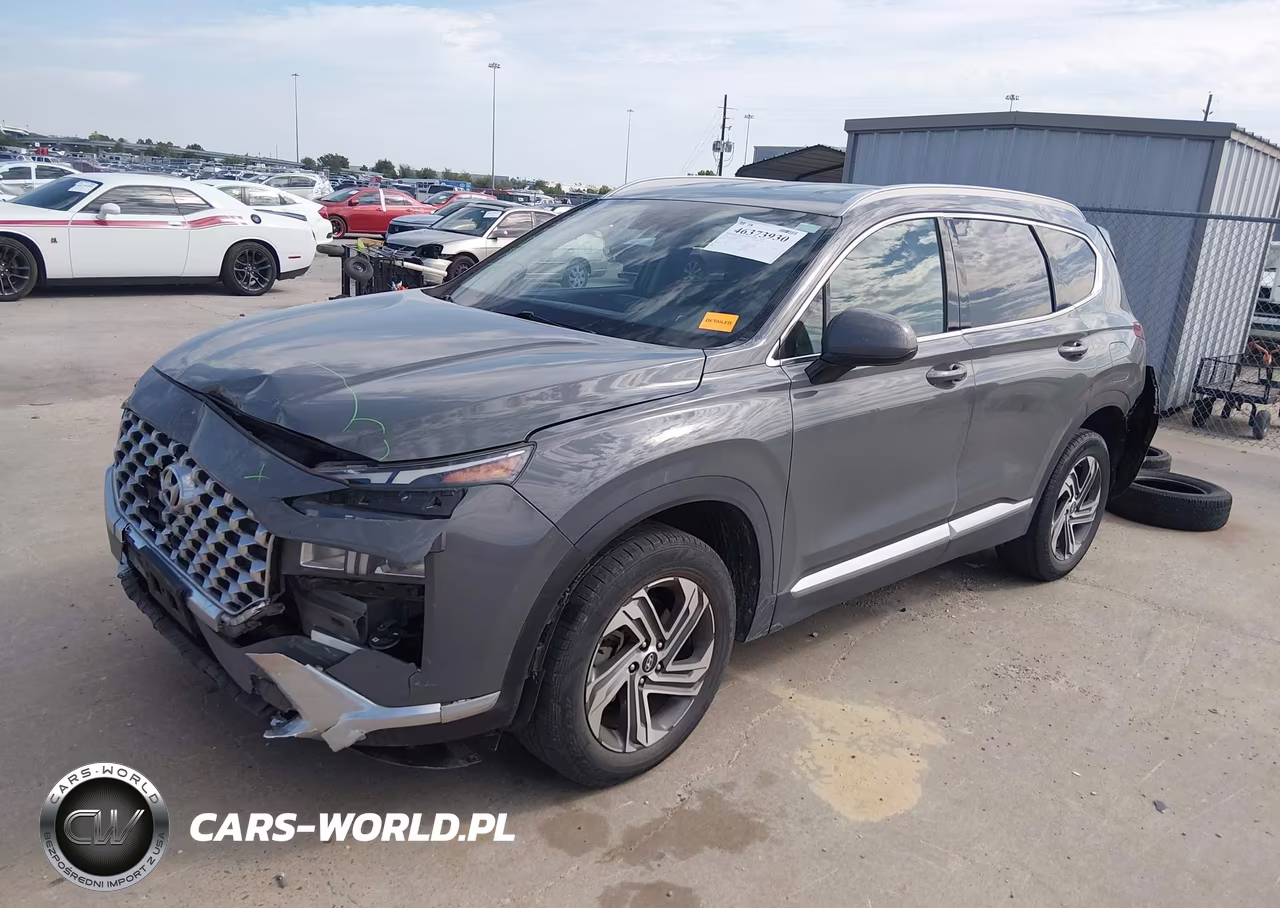2021 Hyundai Santa Fe Sel VIN:5NMS24AJ0MH318076 - 2