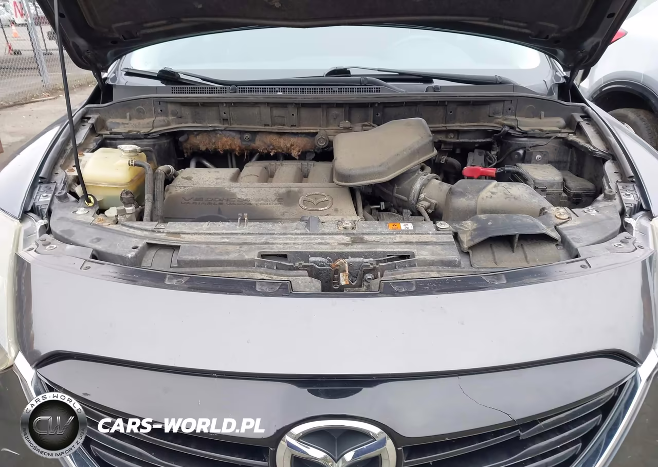 2015 Mazda Cx-9 Touring VIN:JM3TB3CV7F0447912 - 10