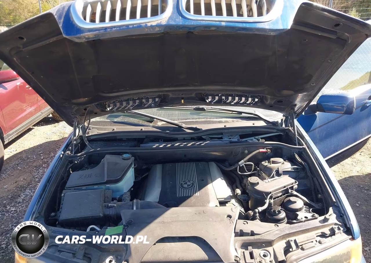 2001 BMW X5 4.4 VIN:WBAFB33521LH22020 - 10