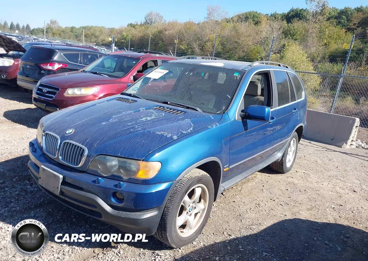 2001 BMW X5 4.4 VIN:WBAFB33521LH22020 - 2