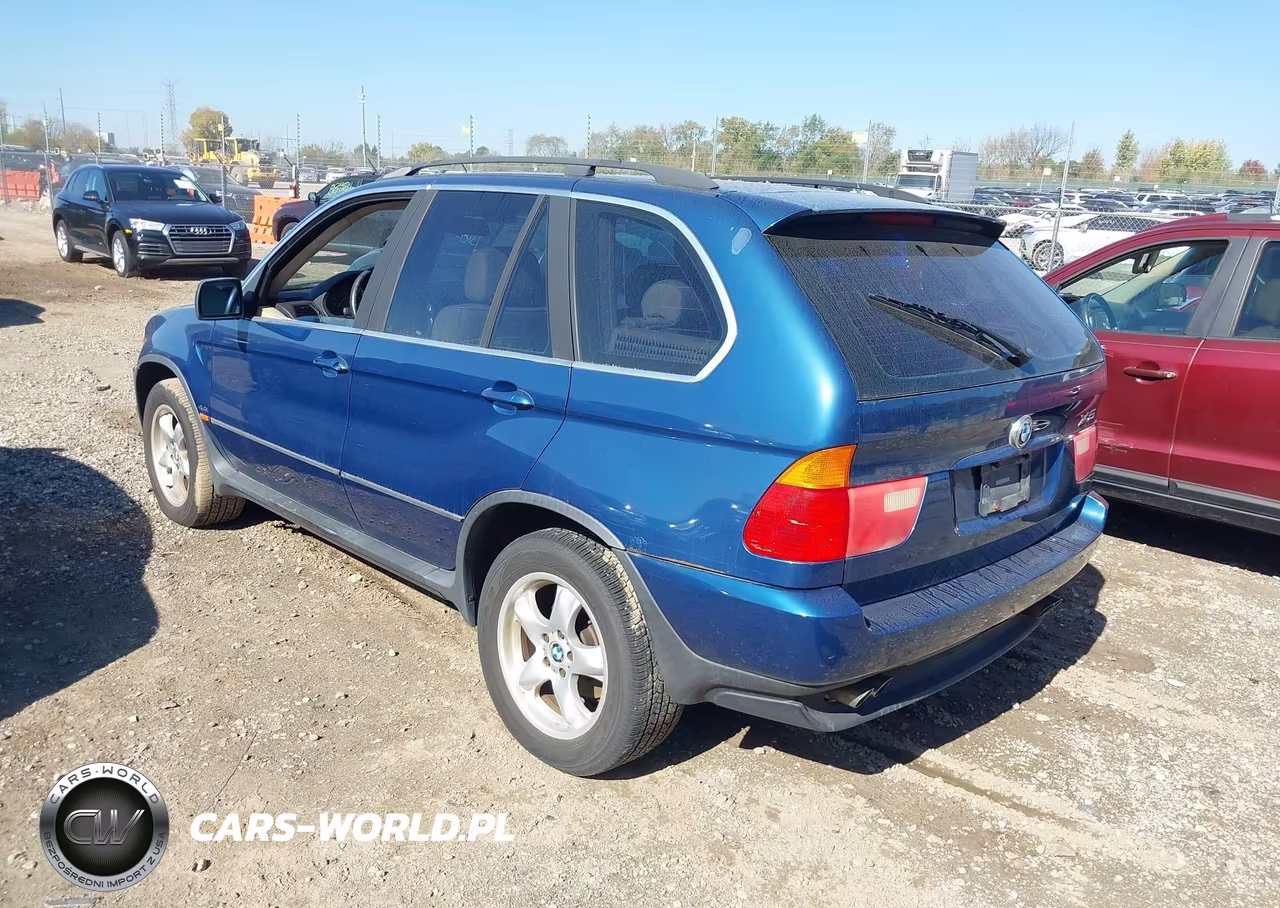 2001 BMW X5 4.4 VIN:WBAFB33521LH22020 - 3
