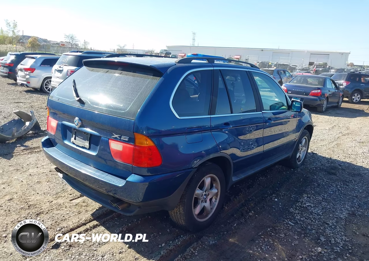 2001 BMW X5 4.4 VIN:WBAFB33521LH22020 - 4
