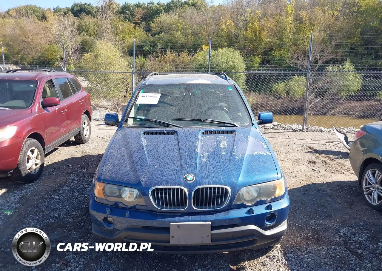 2001 BMW X5 4.4 VIN:WBAFB33521LH22020 - 6