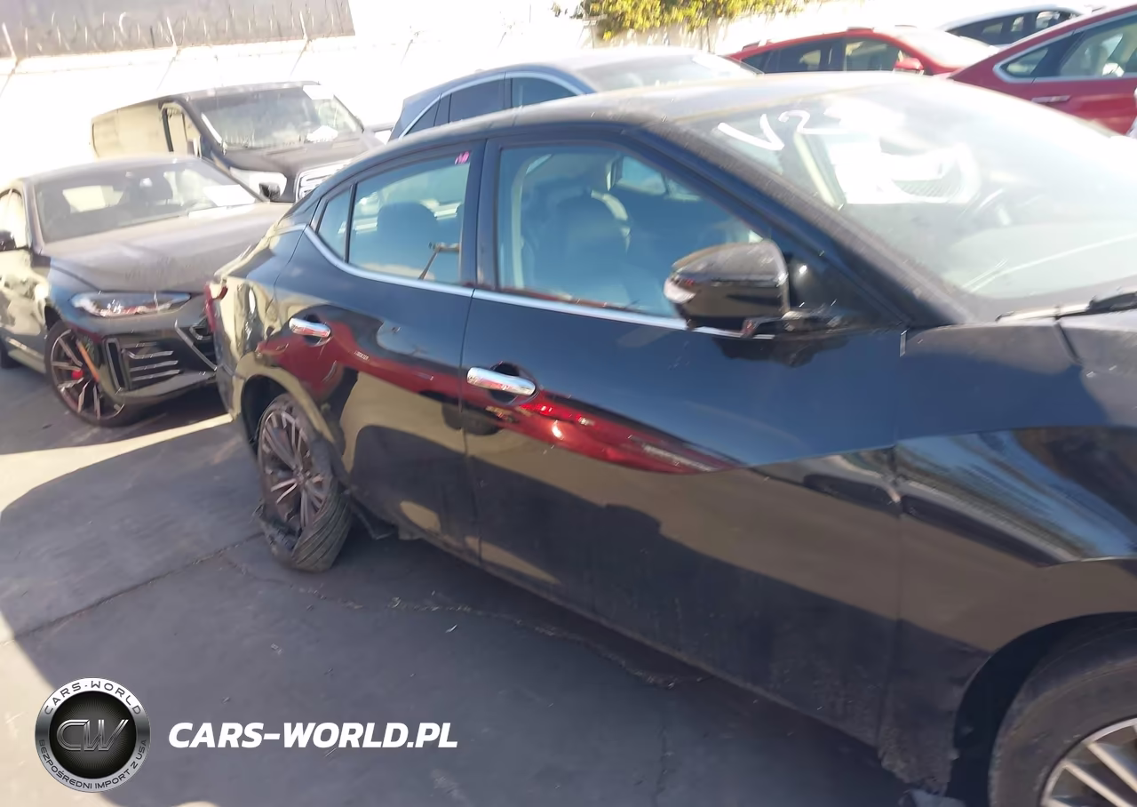 2017 Nissan Maxima 3.5 Platinum VIN:1N4AA6AP3HC439077 - 13