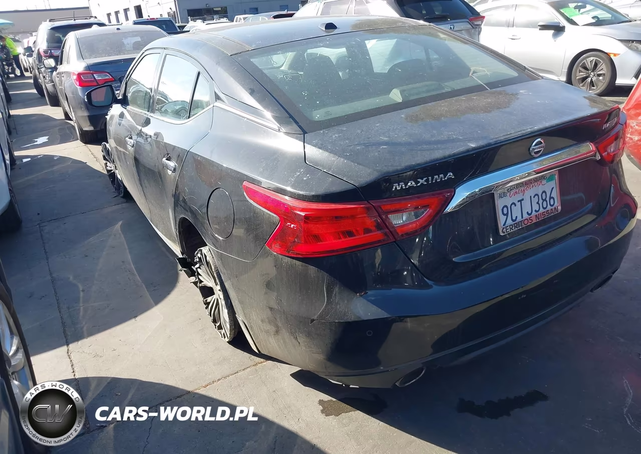 2017 Nissan Maxima 3.5 Platinum VIN:1N4AA6AP3HC439077 - 3