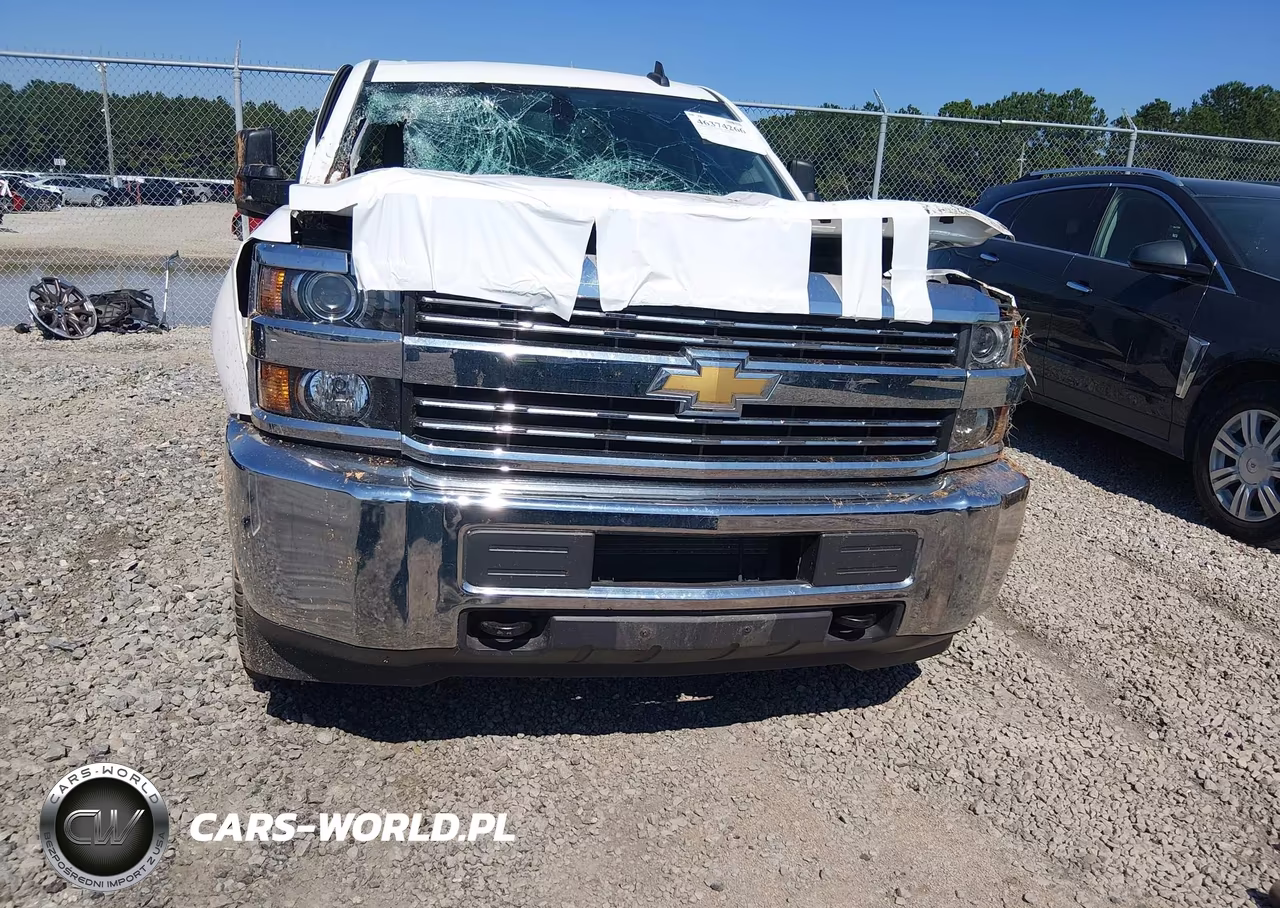 2016 Chevrolet Silverado 2500Hd Wt VIN:1GC1KUEG7GF193721 - 12