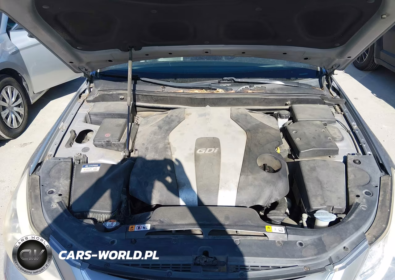 2013 Hyundai Genesis 3.8 VIN:KMHGC4DD9DU245416 - 10