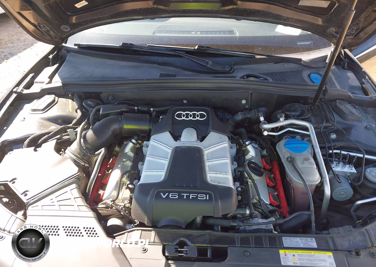 2011 Audi S5 3.0 Premium Plus VIN:WAUCGAFH0BN009912 - 10