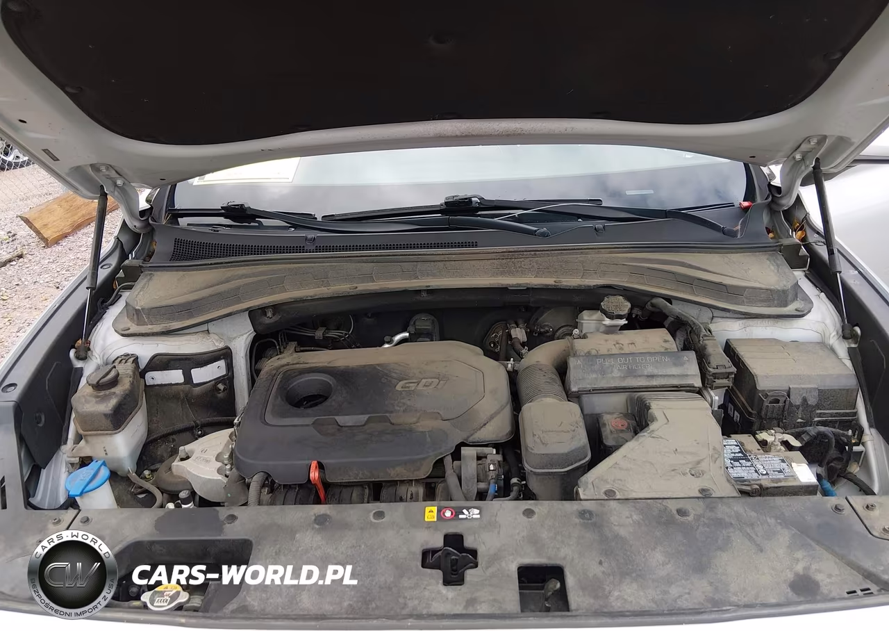 2019 Hyundai Santa Fe Se VIN:5NMS2CAD0KH061566 - 10