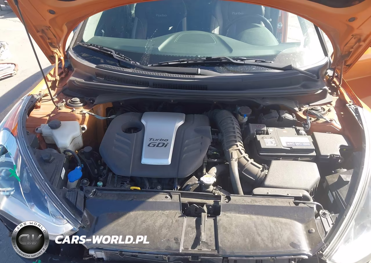 2013 Hyundai Veloster Turbo W-Black VIN:KMHTC6AE2DU117624 - 10