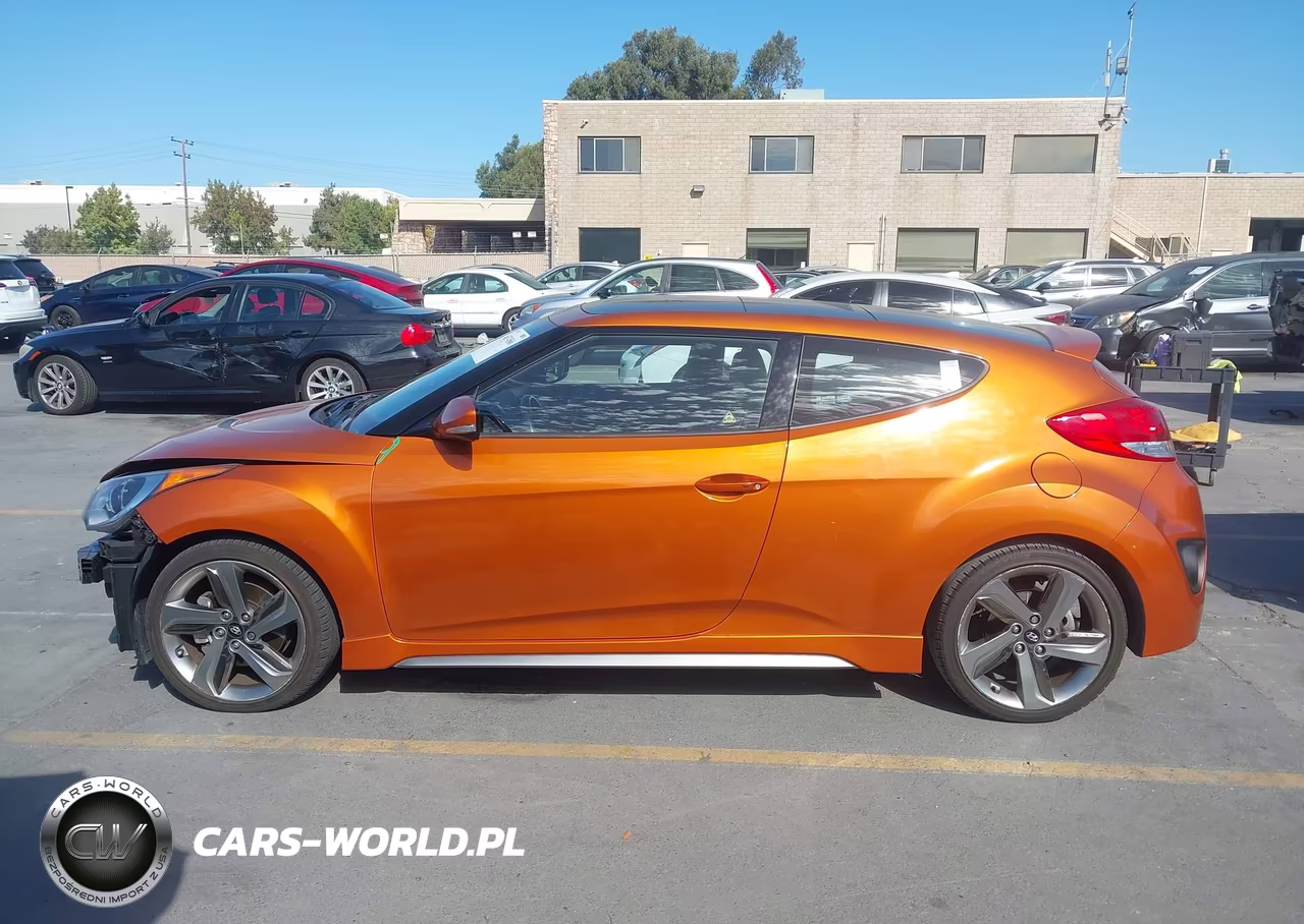 2013 Hyundai Veloster Turbo W-Black VIN:KMHTC6AE2DU117624 - 15
