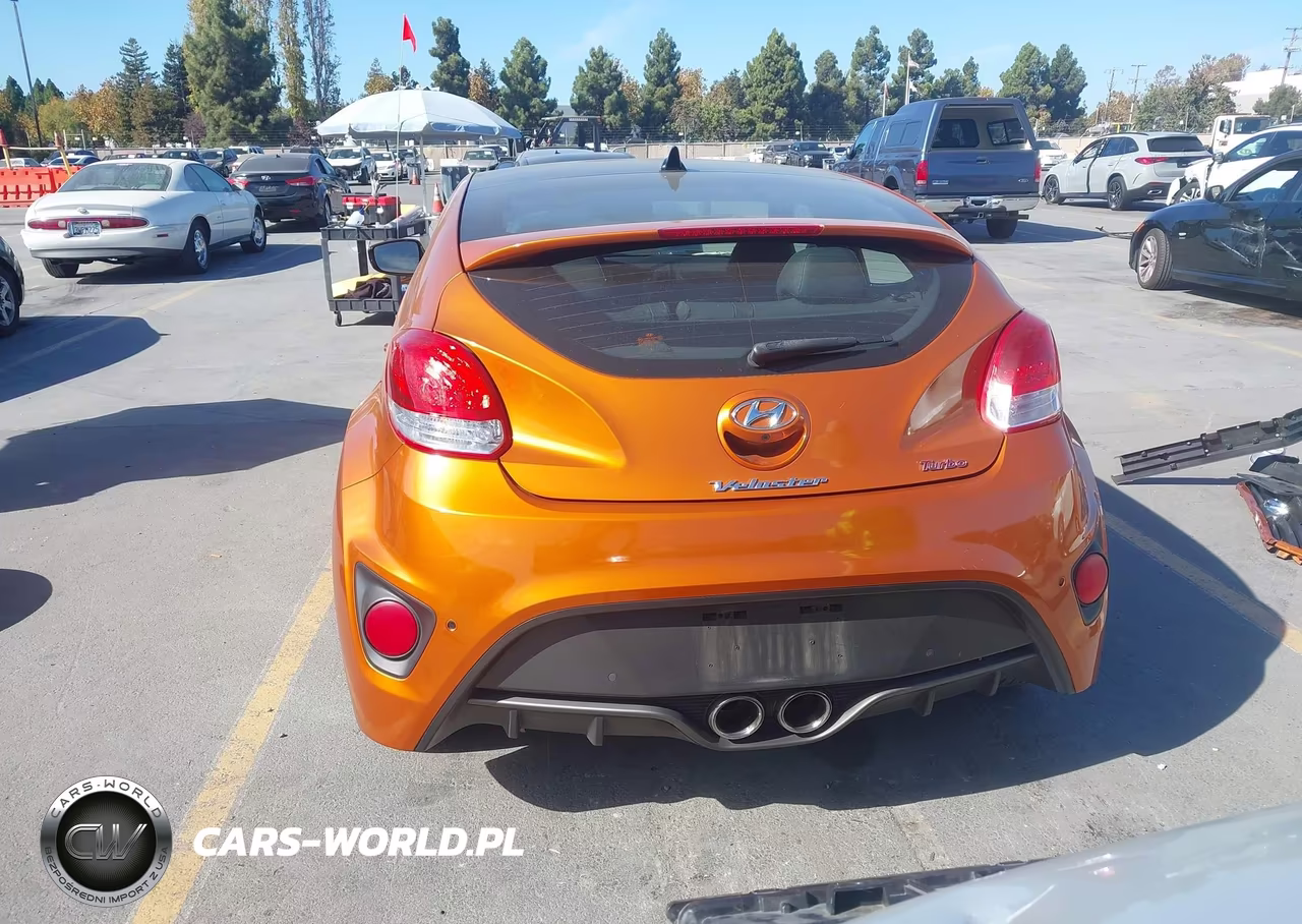 2013 Hyundai Veloster Turbo W-Black VIN:KMHTC6AE2DU117624 - 17