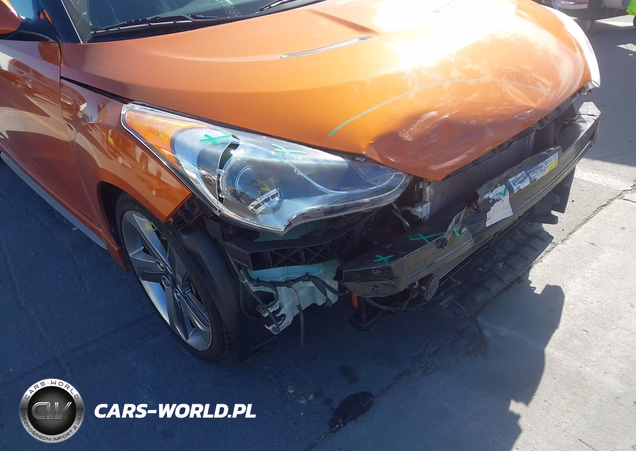 2013 Hyundai Veloster Turbo W-Black VIN:KMHTC6AE2DU117624 - 18