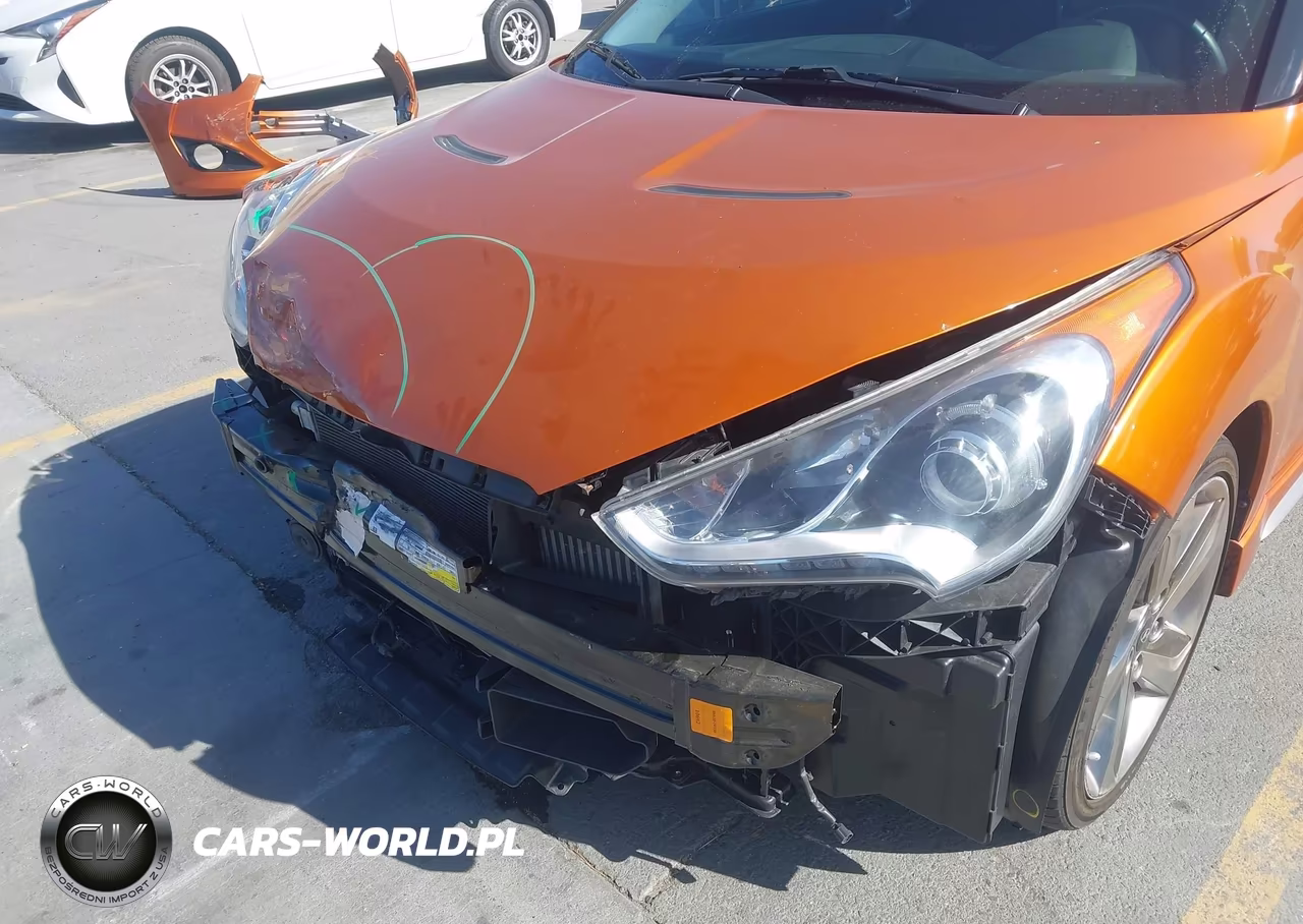 2013 Hyundai Veloster Turbo W-Black VIN:KMHTC6AE2DU117624 - 19