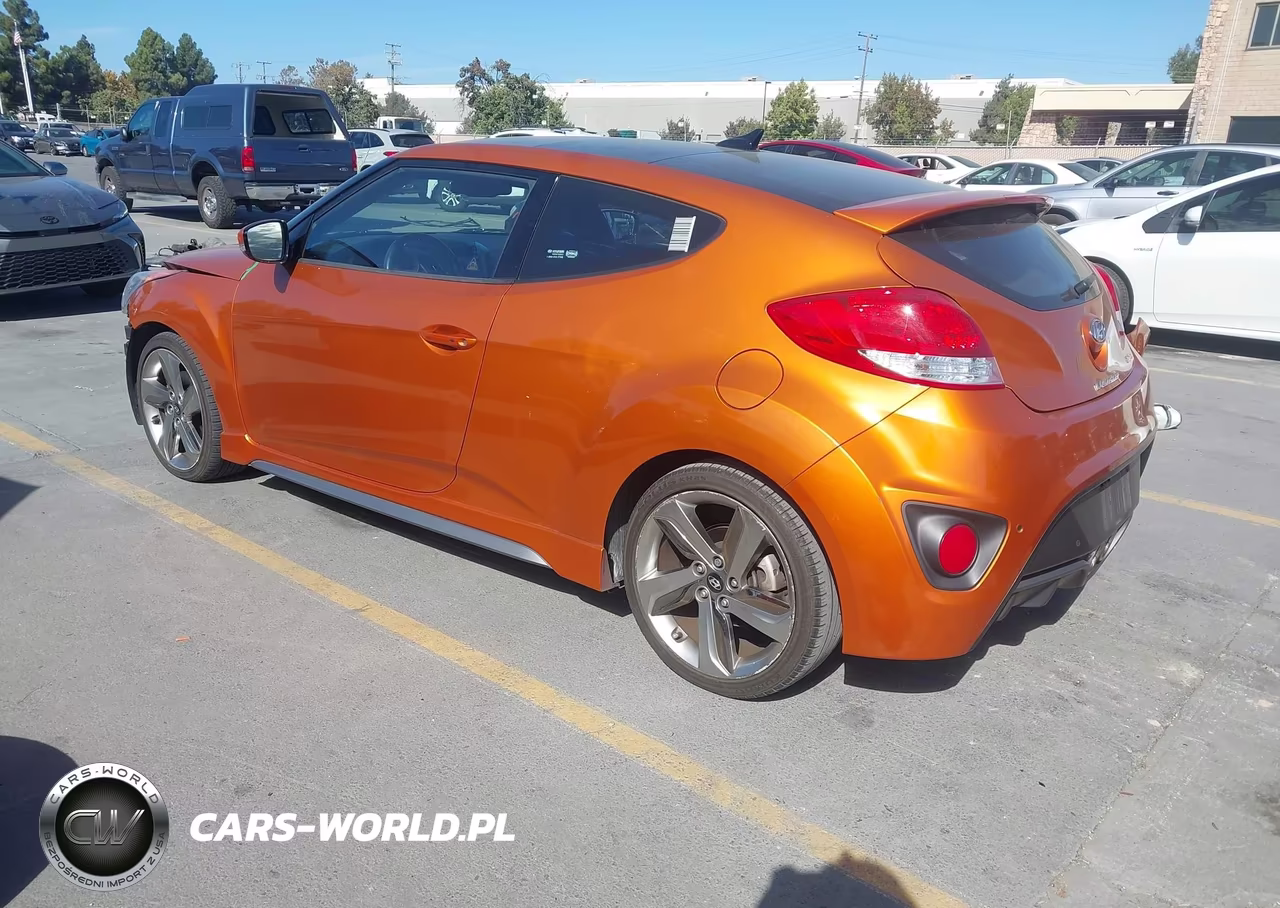2013 Hyundai Veloster Turbo W-Black VIN:KMHTC6AE2DU117624 - 3