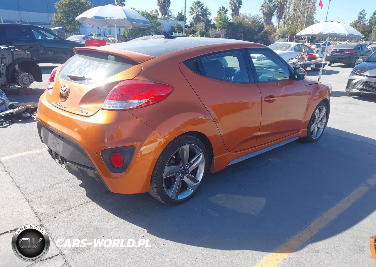 2013 Hyundai Veloster Turbo W-Black VIN:KMHTC6AE2DU117624 - 4