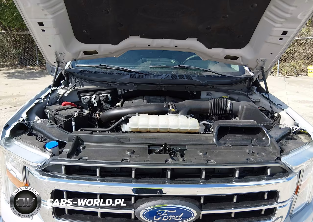 2023 Ford F-150 Xlt VIN:1FTFW1E8XPKE14009 - 10