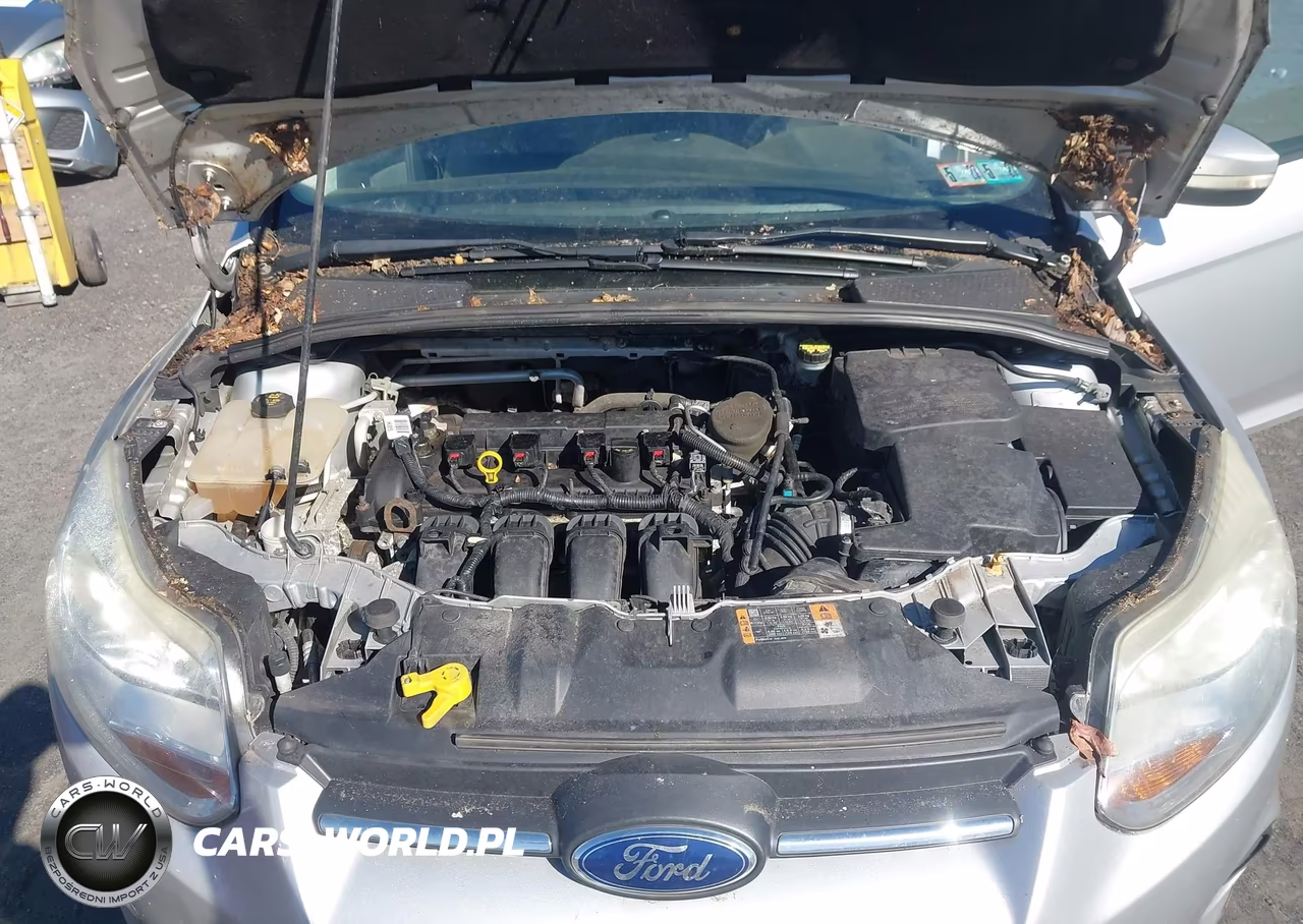2014 Ford Focus Se VIN:1FADP3F28EL448487 - 10