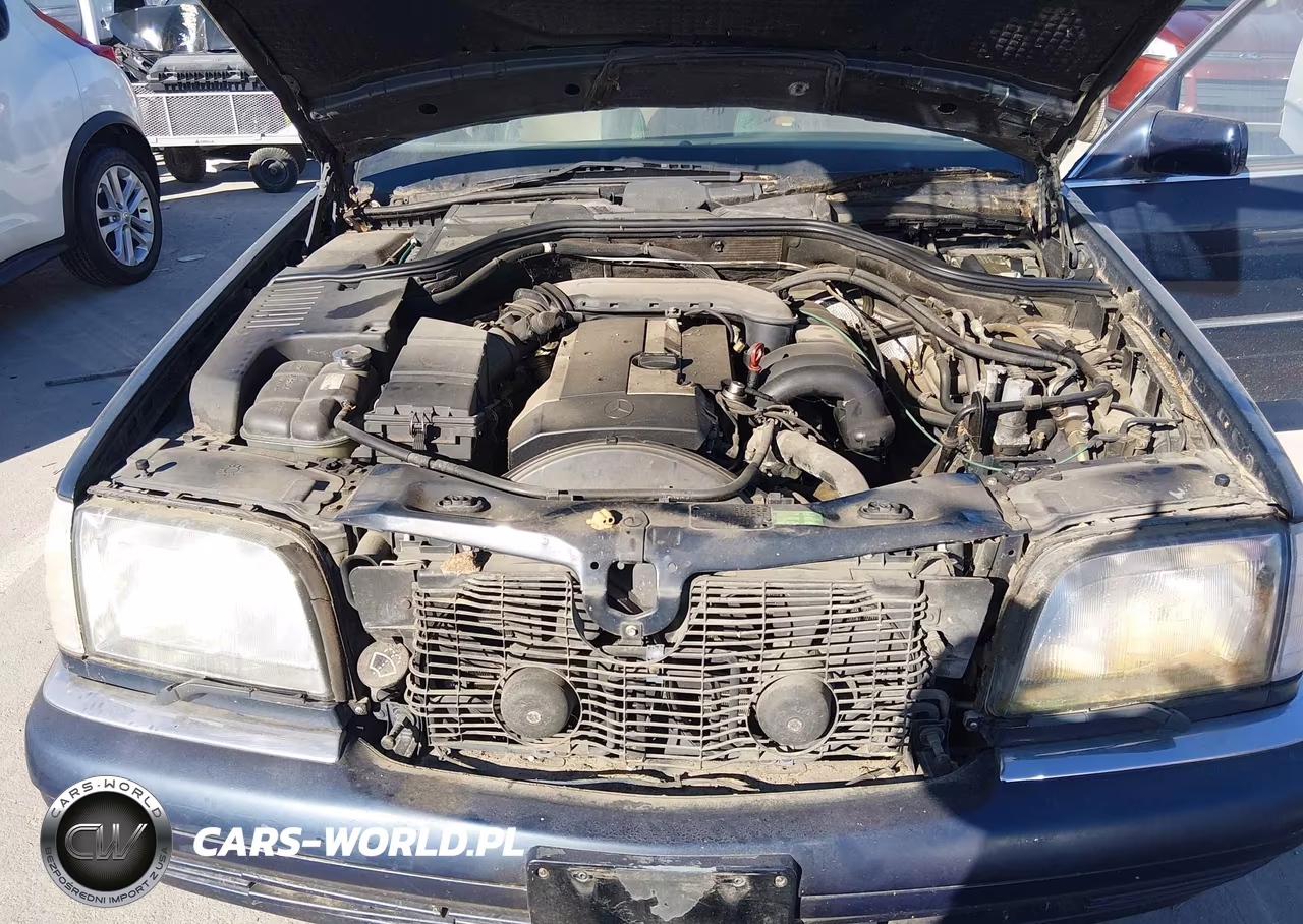1996 Mercedes-Benz S 320 VIN:WDBGA33E3TA325050 - 10