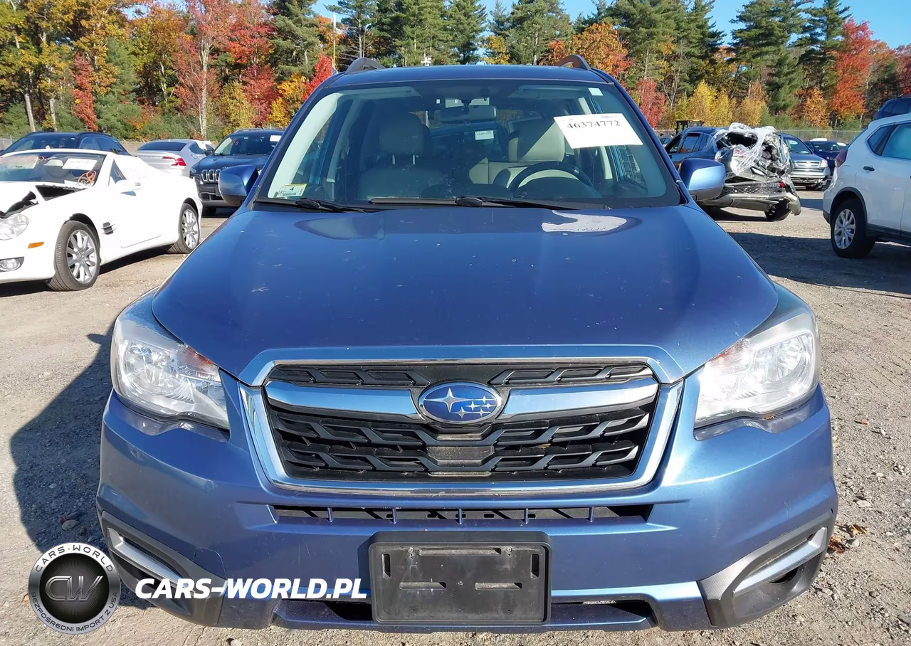 2018 Subaru Forester 2.5I Premium VIN:JF2SJAEC3JH605794 - 12