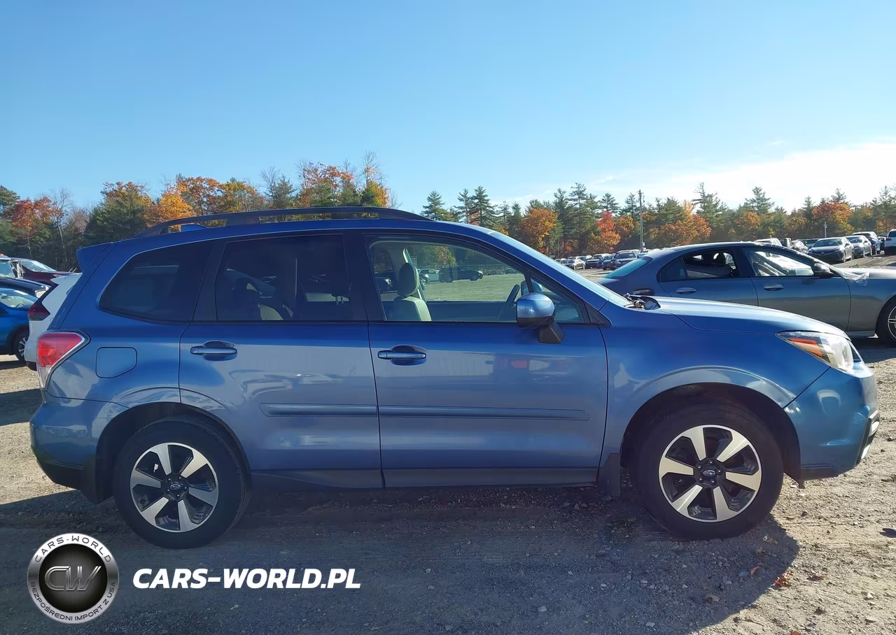 2018 Subaru Forester 2.5I Premium VIN:JF2SJAEC3JH605794 - 13