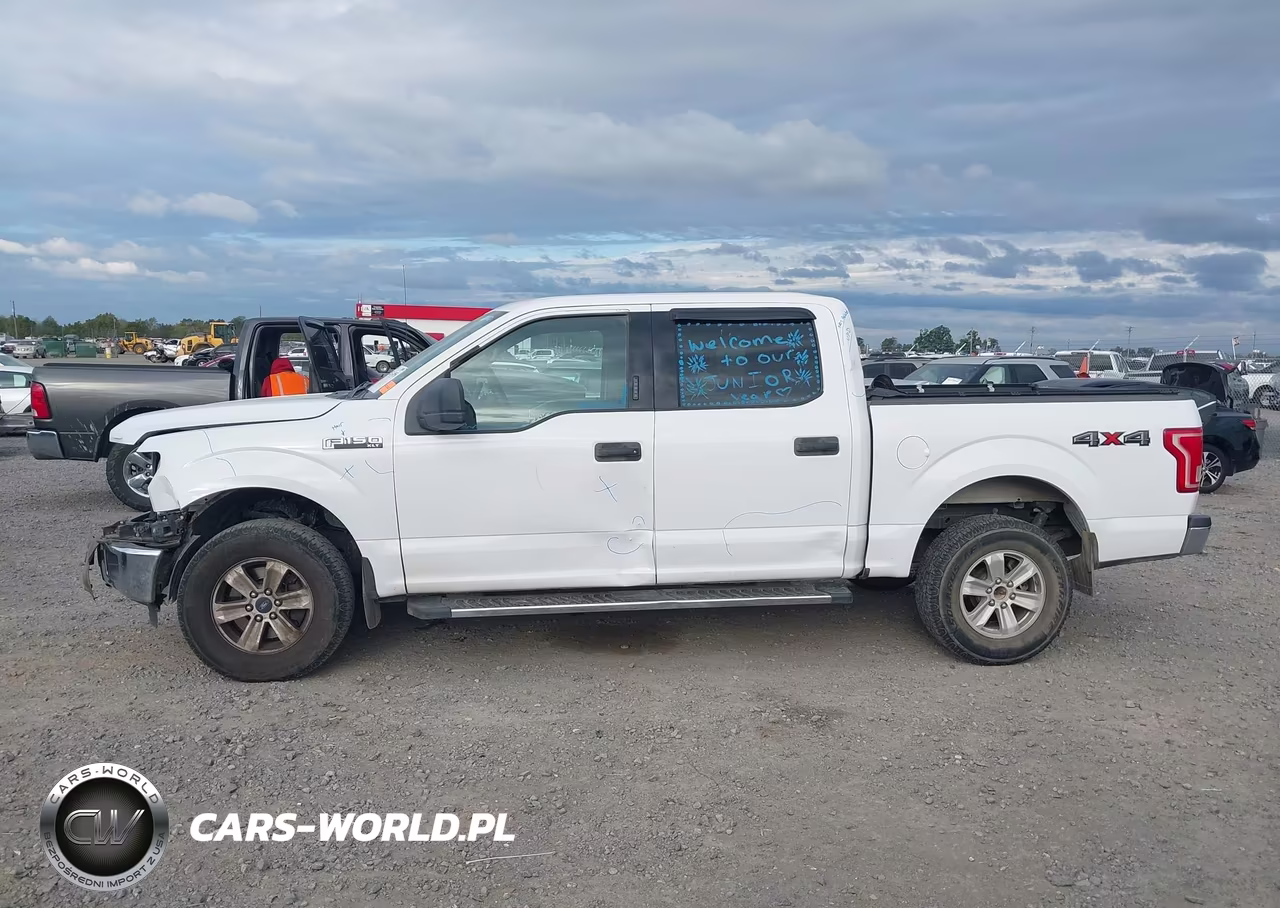 2015 Ford F-150 Xlt VIN:1FTEW1EF3FKF17152 - 15