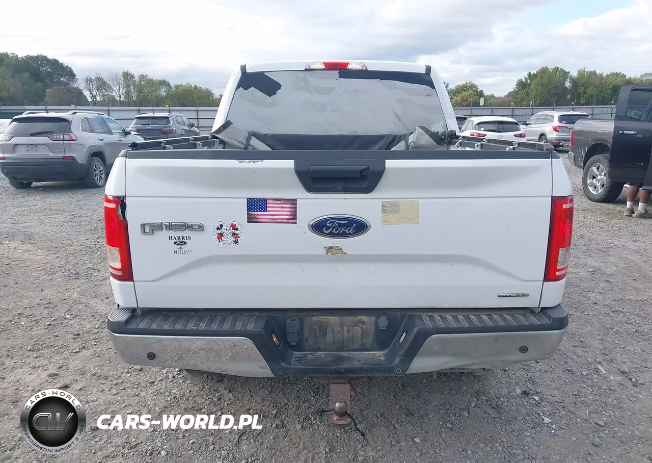 2015 Ford F-150 Xlt VIN:1FTEW1EF3FKF17152 - 17