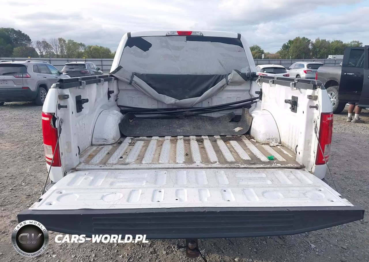 2015 Ford F-150 Xlt VIN:1FTEW1EF3FKF17152 - 18