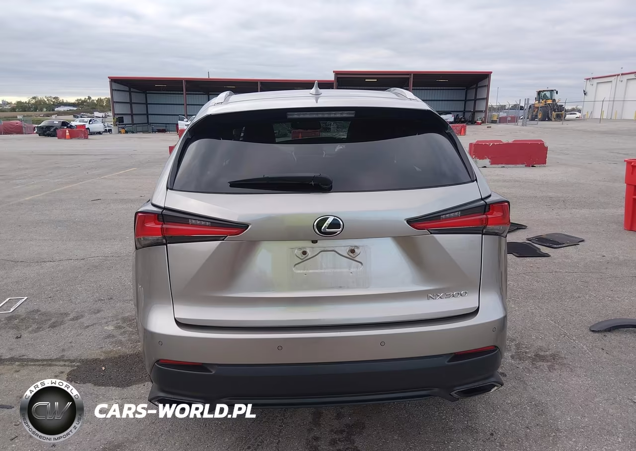 2018 Lexus Nx 300 VIN:JTJBARBZ0J2170478 - 16