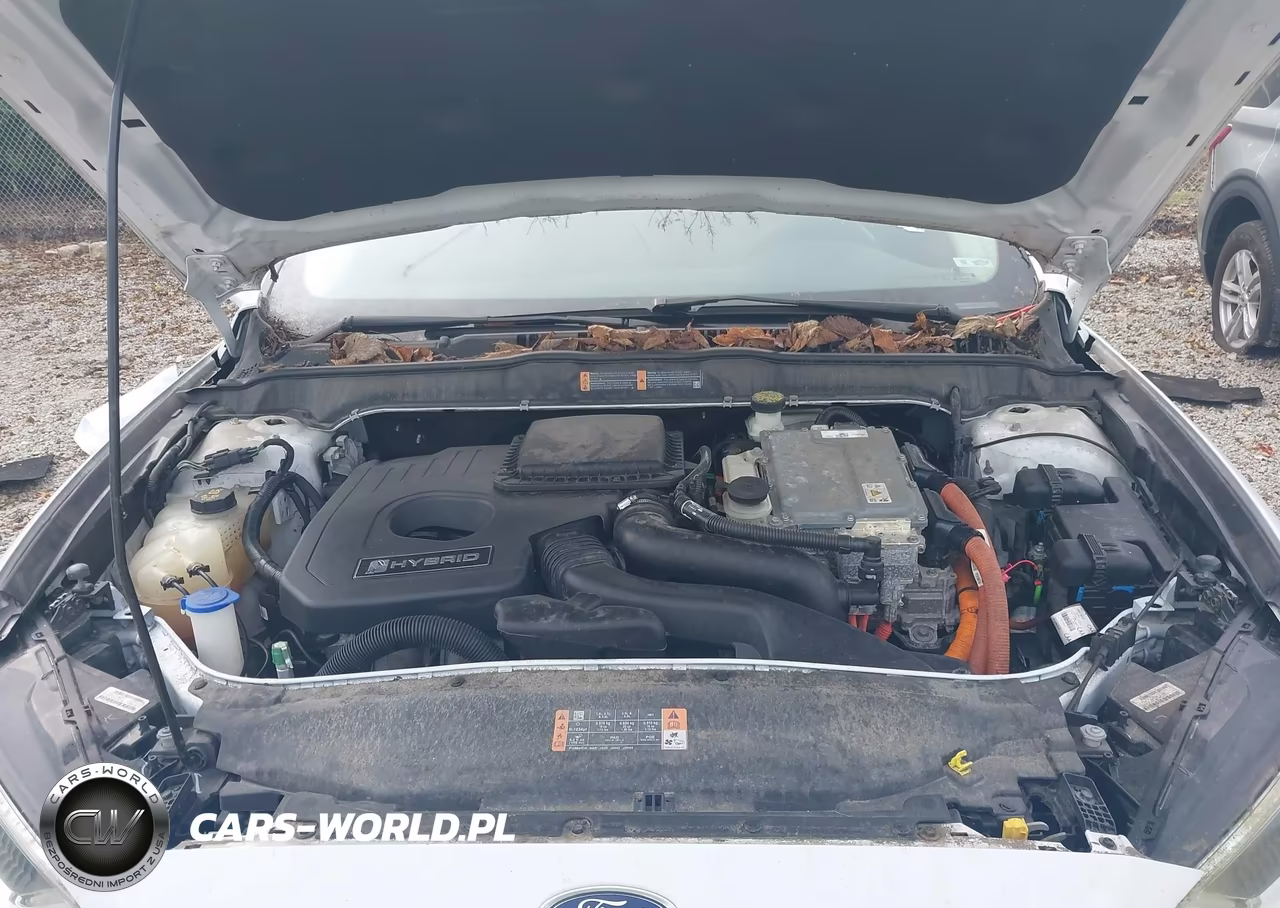 2018 Ford Fusion Hybrid Se VIN:3FA6P0LU3JR114313 - 10