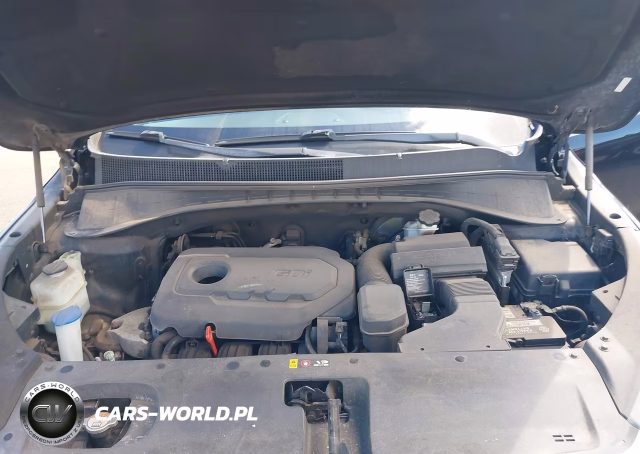 2017 Kia Sorento 2.4L Lx VIN:5XYPG4A39HG267413 - 10