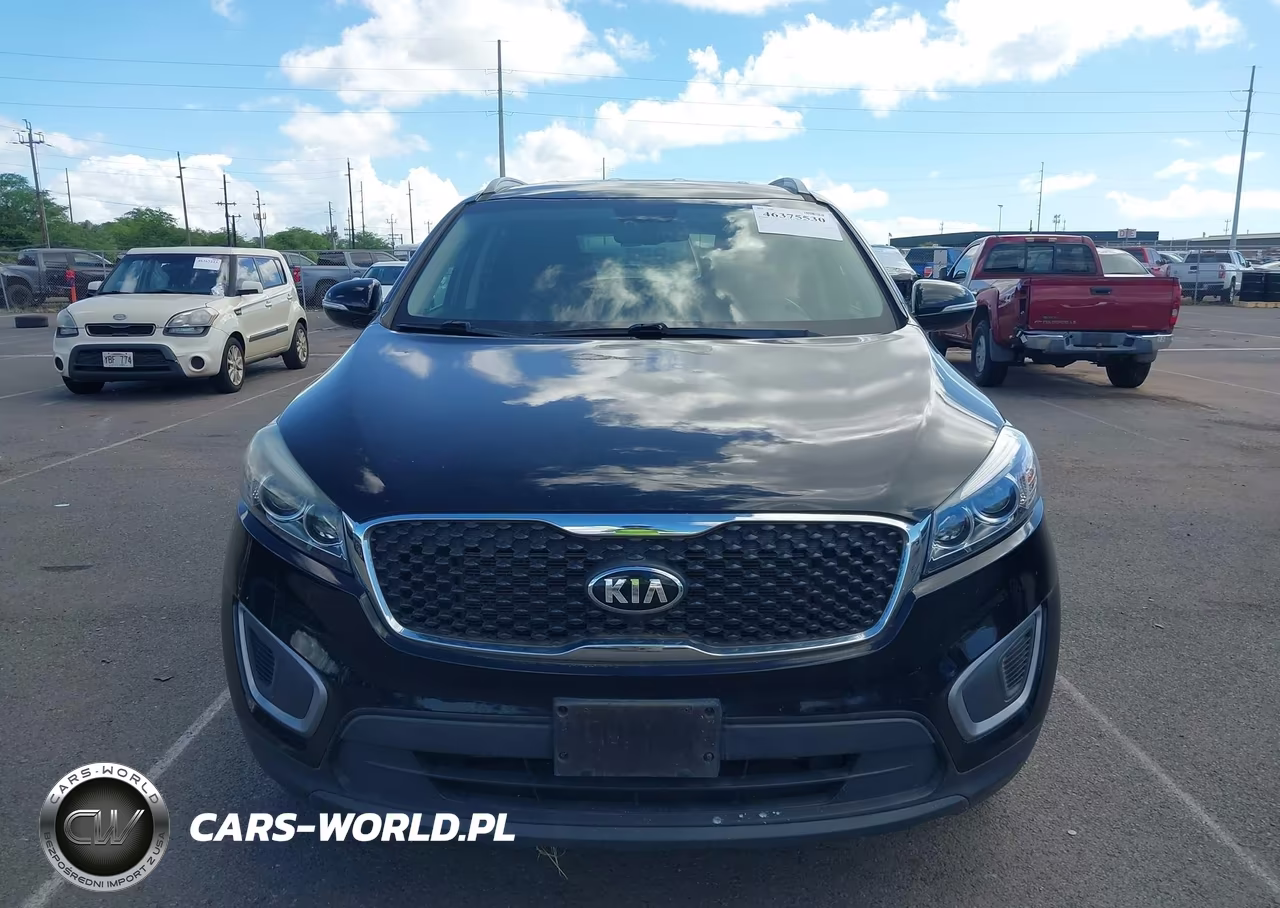 2017 Kia Sorento 2.4L Lx VIN:5XYPG4A39HG267413 - 12