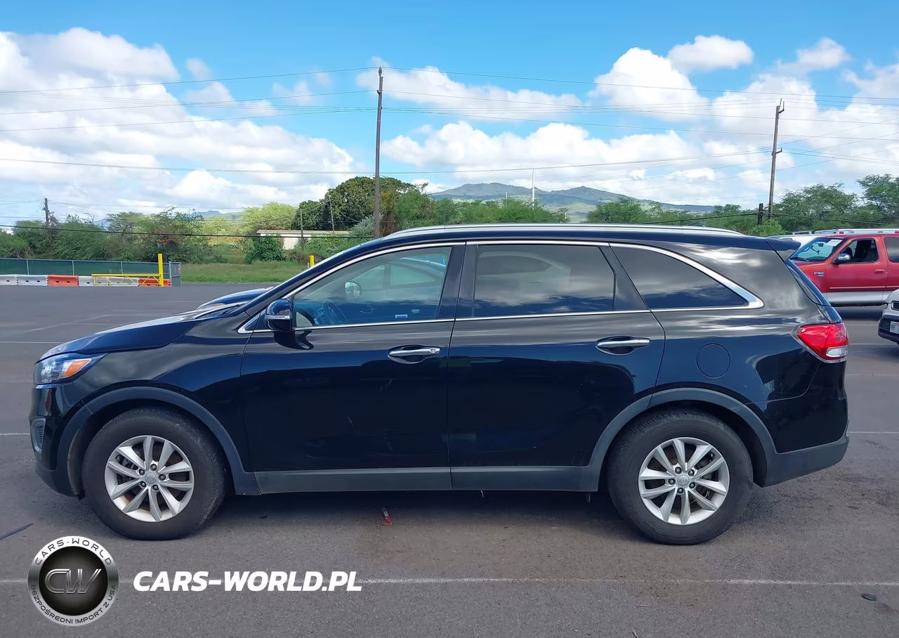 2017 Kia Sorento 2.4L Lx VIN:5XYPG4A39HG267413 - 14
