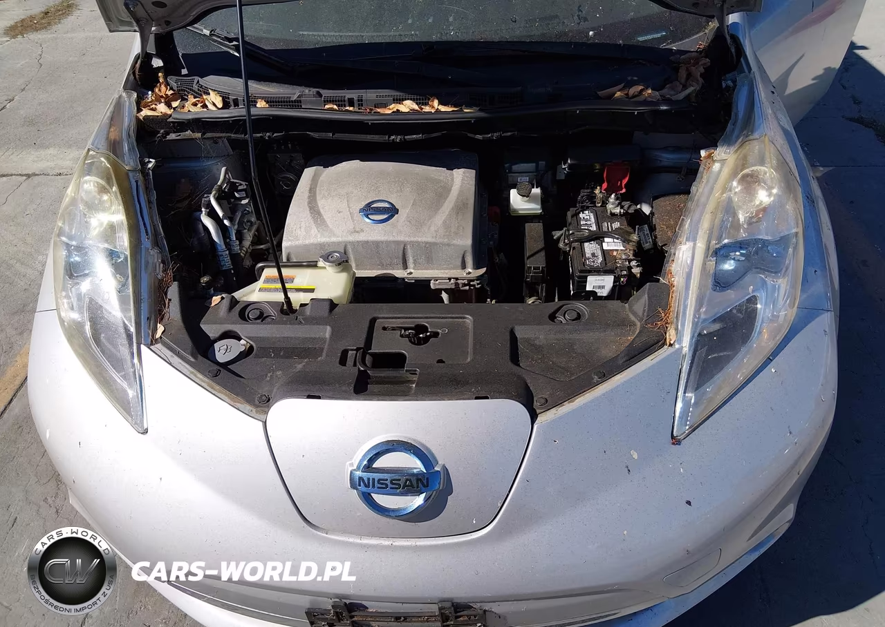 2014 Nissan Leaf Sl VIN:1N4AZ0CP4EC334367 - 10