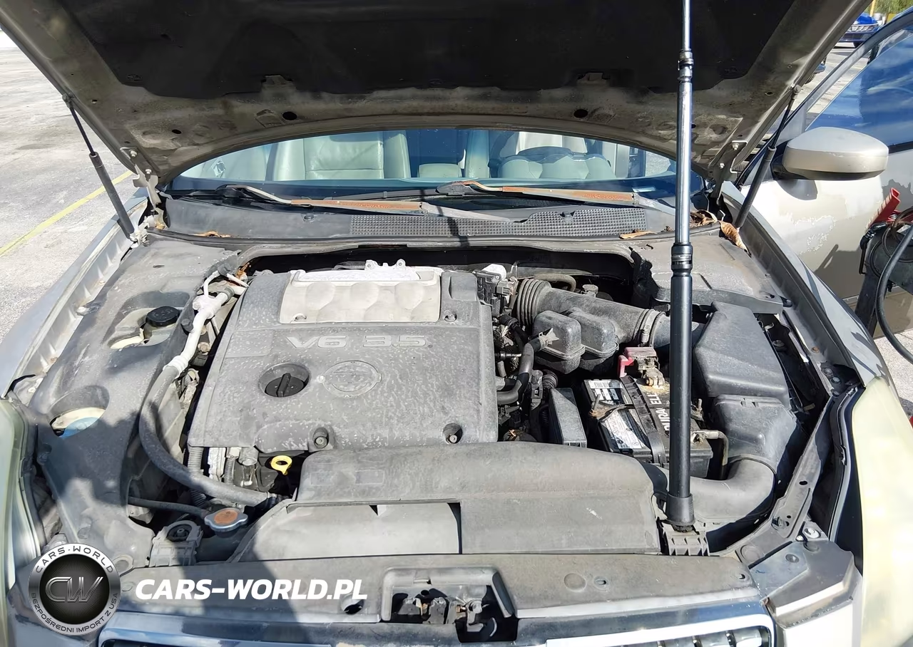 2005 Nissan Maxima 3.5 Se VIN:1N4BA41E35C818339 - 10
